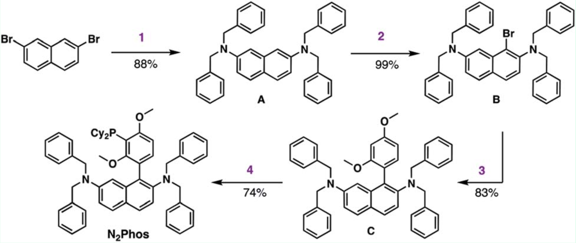 13c导航-N2P-Ligand synthesis-13corg