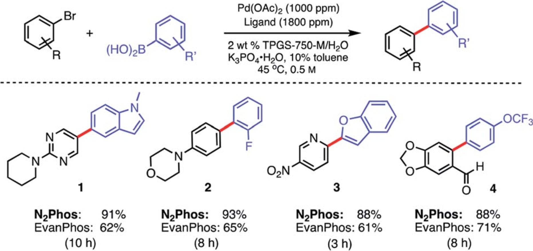 13c导航-N2P-Pd 与EvanPhos催化Suzuki偶联的对比-13corg